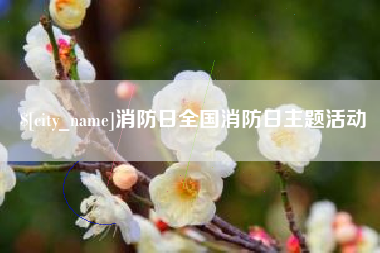 惠东消防日全国消防日主题活动