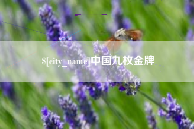 惠东中国九枚金牌