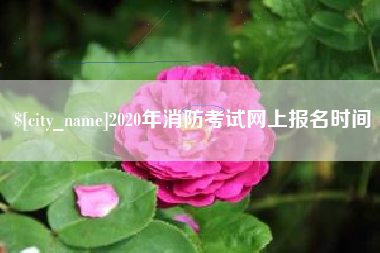 惠东2020年消防考试网上报名时间