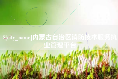惠东内蒙古自治区消防技术服务执业管理平台