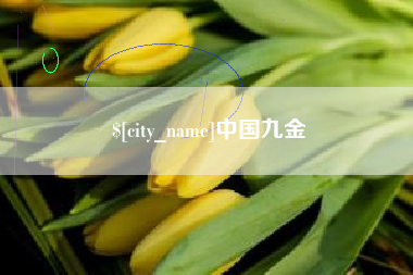 惠东中国九金