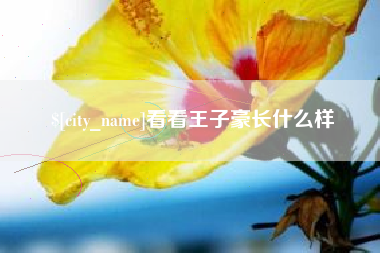 惠东看看王子豪长什么样