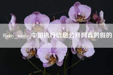 惠东中国执行信息公开网真的假的