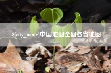 惠东中国地图全图各省地图