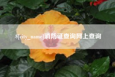 惠东消防证查询网上查询