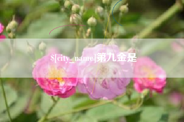 惠东第九金是