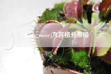 惠东九宫格分布图