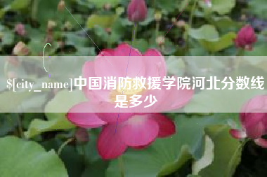 惠东中国消防救援学院河北分数线是多少