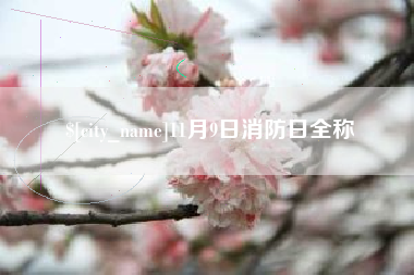 惠东11月9日消防日全称