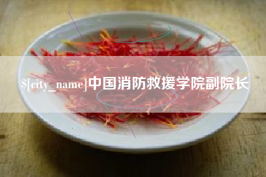 惠东中国消防救援学院副院长