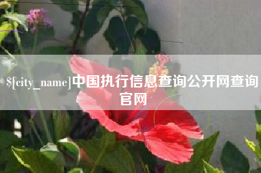 惠东中国执行信息查询公开网查询官网