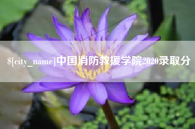 惠东中国消防救援学院2020录取分