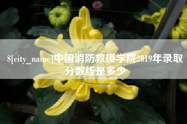 惠东中国消防救援学院2019年录取分数线是多少