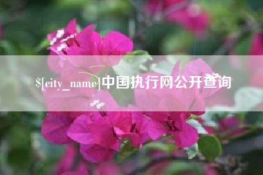 惠东中国执行网公开查询