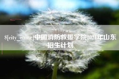 惠东中国消防救援学院2021年山东招生计划