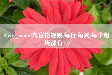惠东九宫格规则,每行,每列,每个粗线都有1-9
