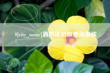 惠东消防证初级查询系统