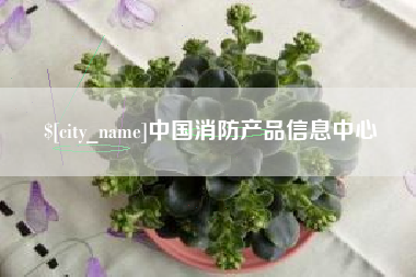 惠东中国消防产品信息中心