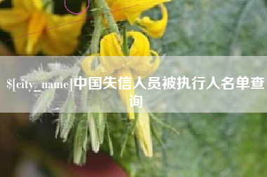 惠东中国失信人员被执行人名单查询