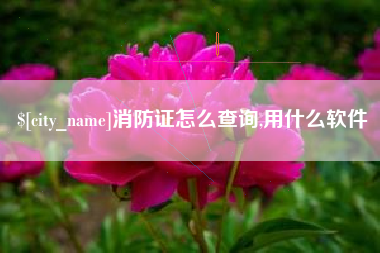 惠东消防证怎么查询,用什么软件