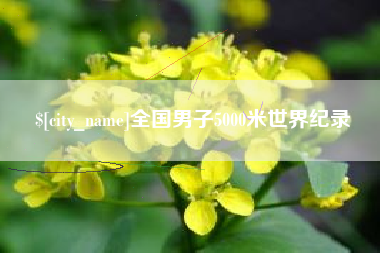 惠东全国男子5000米世界纪录