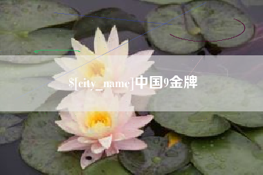 惠东中国9金牌