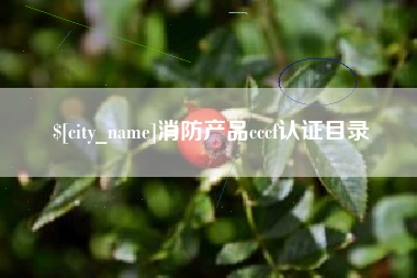 惠东消防产品cccf认证目录