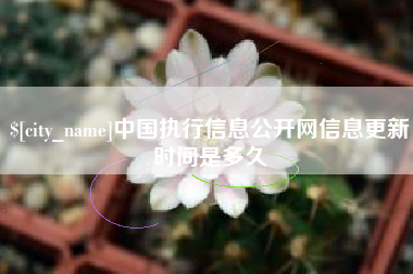 惠东中国执行信息公开网信息更新时间是多久