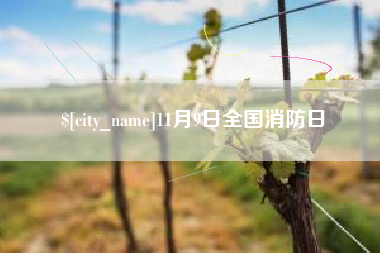 惠东11月9日全国消防日
