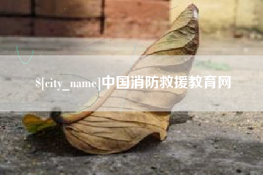 惠东中国消防救援教育网