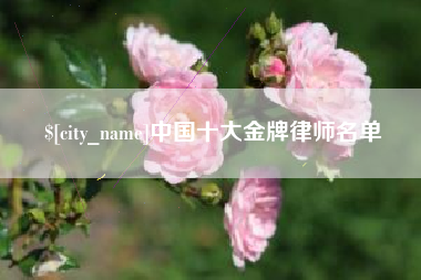 惠东中国十大金牌律师名单