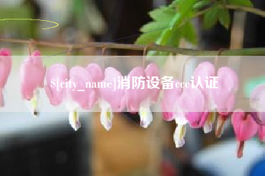 惠东消防设备ccc认证