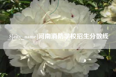 惠东河南消防学校招生分数线