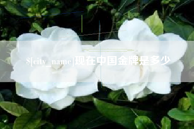 惠东现在中国金牌是多少