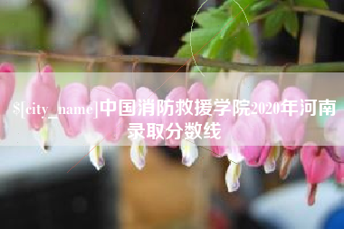 惠东中国消防救援学院2020年河南录取分数线