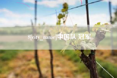 惠东中国队 冠军
