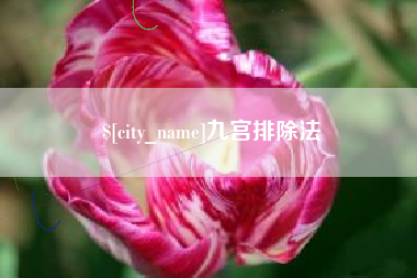 惠东九宫排除法