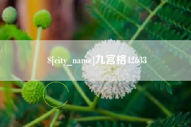 惠东九宫格42633