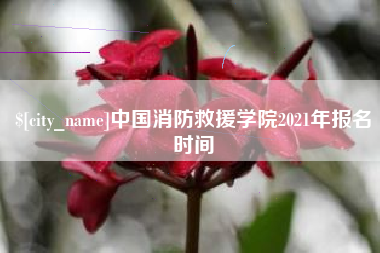 惠东中国消防救援学院2021年报名时间