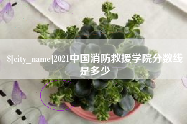 惠东2021中国消防救援学院分数线是多少