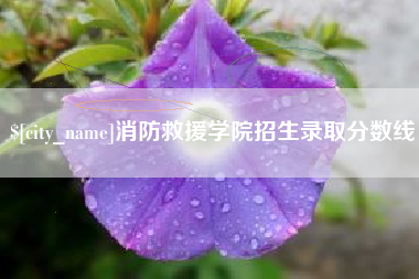 惠东消防救援学院招生录取分数线