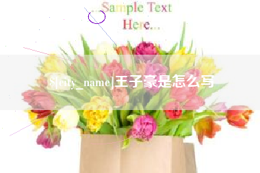 惠东王子豪是怎么写