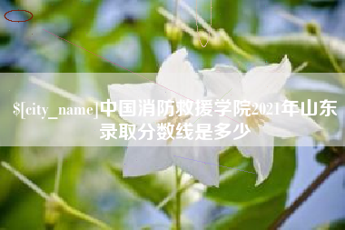 惠东中国消防救援学院2021年山东录取分数线是多少
