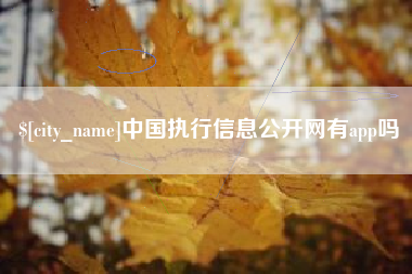 惠东中国执行信息公开网有app吗