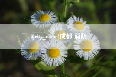 惠东成都 消防