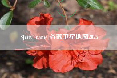 惠东谷歌卫星地图2025