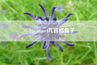 惠东九宫格盘子