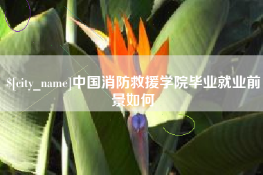 惠东中国消防救援学院毕业就业前景如何