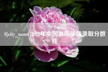惠东2021年中国消防学院录取分数线