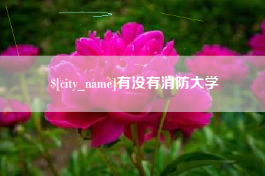 惠东有没有消防大学